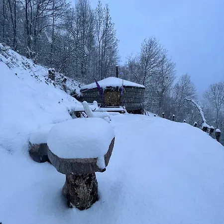 Les Songes Du Chene Augirein
